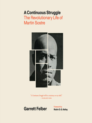 cover image of A Continuous Struggle